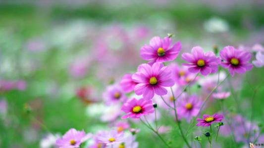 假期后希望上班