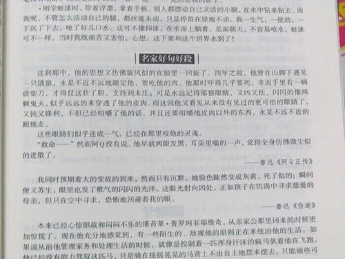 大林小林的好词句