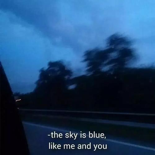 美学和艺术上的短句：谁将被烧毁的优雅变成另一面的花朵