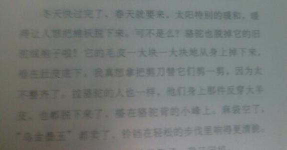 从城市南部的旧事物说好话