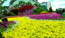 描写花坛的比喻句