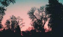 朋友圈发晚上的句子