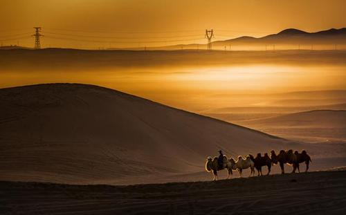 美丽的经文描述沙漠