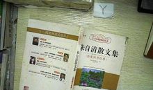 朱自清背影的好词好句