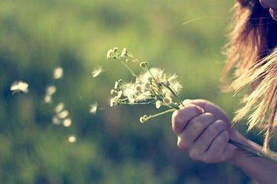 错过的东西错过了，珍惜的东西也丢失了