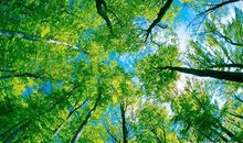 女生坚强到心疼的说说