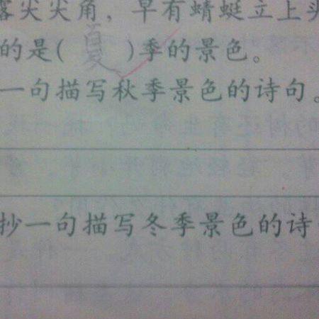 描述池塘的比喻句子