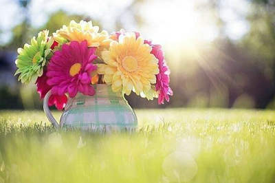 如何让自己放弃，如何让自己微笑1