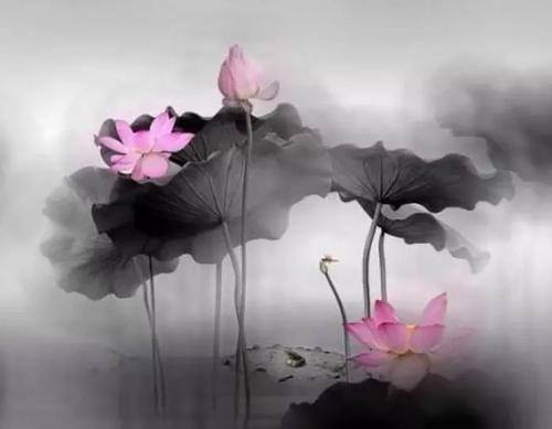 佛陀的人生哲学