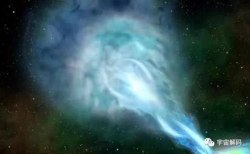 望远镜查看花园过敏