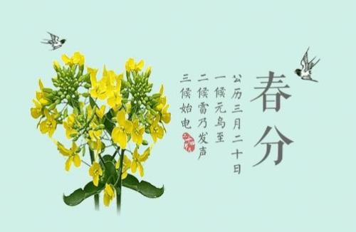关于春分的谚语