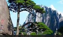 黄山旅游宣传口号