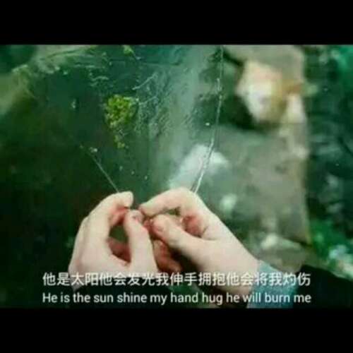 我及时听了你的经典句子