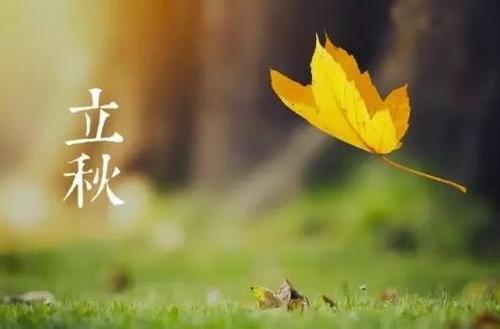 身体健康短信祝