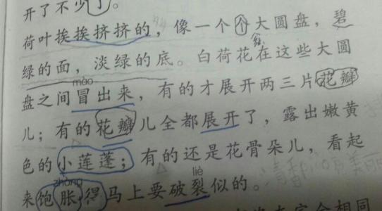 关于阅读的寓言