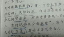 有关阅读的比喻句