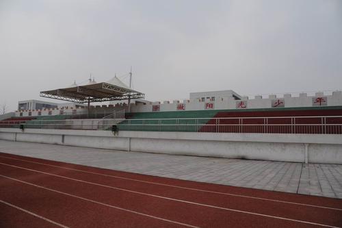 开展太阳运动口号