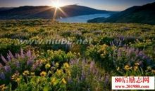 关于自然风光的句子