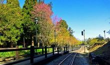 描写旅行的优美句子