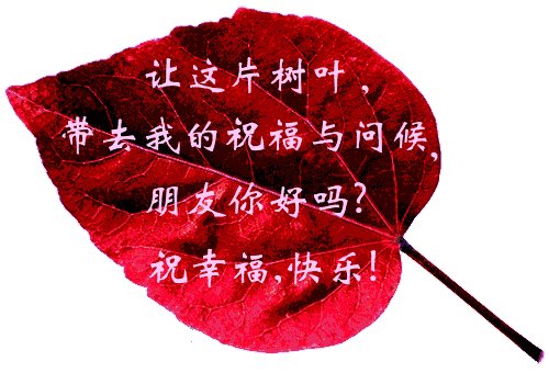 最真诚的问候和祝福