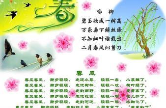 关于春天的好单词和句子