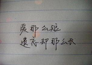 最美句子和经典句子的节选