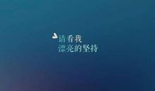 程序员励志语句