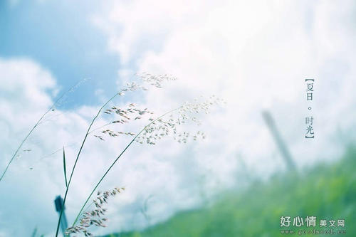 表达岁月流逝的句子