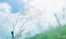 表达岁月流逝的句子