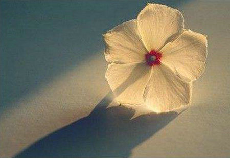 始终拥有包容的心，掌握一切，少打理，少比较1