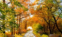 关于秋的优美句子