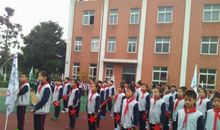 关于小学体育的口号