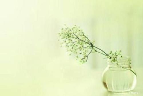 关于春天的简短句子