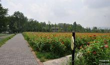 花香扑鼻的歇后语