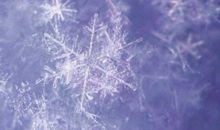 关于下雪的谚语