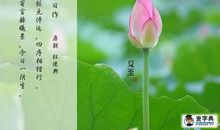 描写荷花的成语