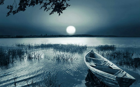 漂亮，悲伤和美丽的句子1