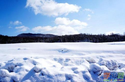 关于雪的十句谚语
