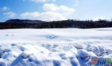 关于雪的谚语10个