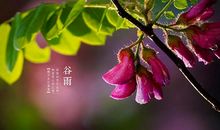 谷雨时节简单祝福语