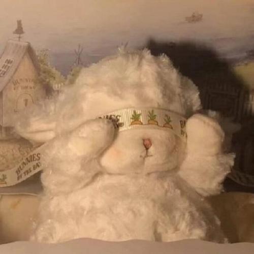 女性朋友圈谈论可爱