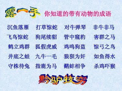 关于泡沫的寓言