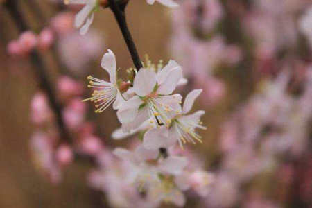 当生命的尽头即将结束时，您会发现曾经认为很重要的事情实际上是不必要的1