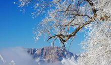 形容水珠的比喻句