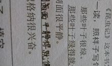 高兴激动的比喻句