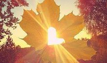 关于阳光的比喻句