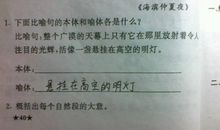 音乐是什么比喻句