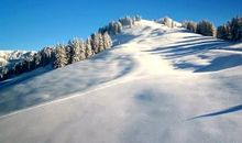 有关雪景的句子