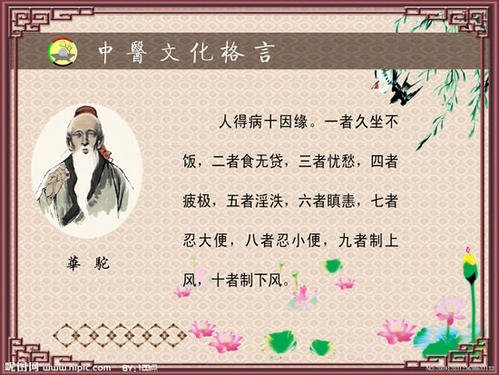 中医经典语录哲学