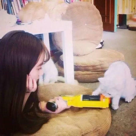 我每天醒来时所面临的困境是混乱的现状1